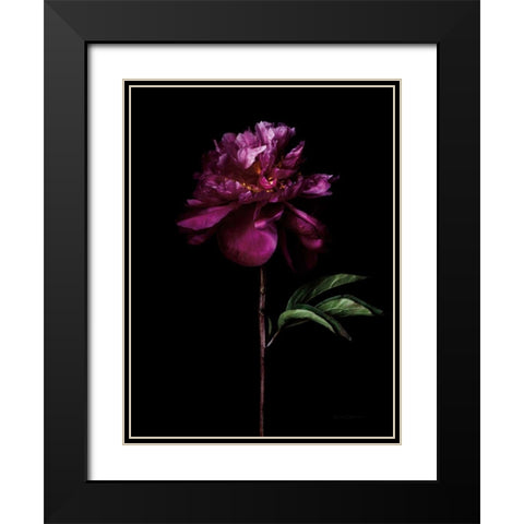 Peony Portrait Black Modern Wood Framed Art Print with Double Matting by Catterall, Elise