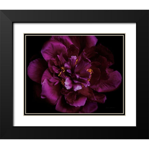 Vivid Dark Peony Black Modern Wood Framed Art Print with Double Matting by Catterall, Elise