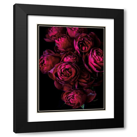 Cabbage Roses Black Modern Wood Framed Art Print with Double Matting by Catterall, Elise