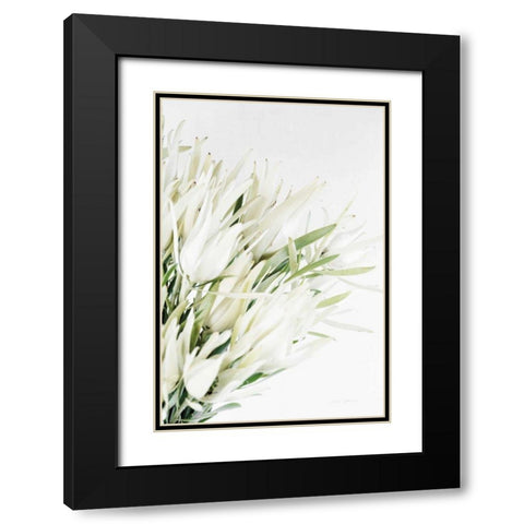 Leucadendron Black Modern Wood Framed Art Print with Double Matting by Catterall, Elise