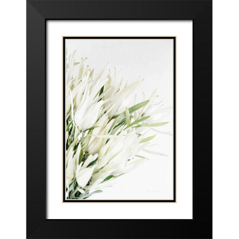 Leucadendron Black Modern Wood Framed Art Print with Double Matting by Catterall, Elise