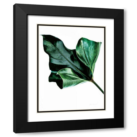 Monstera Black Modern Wood Framed Art Print with Double Matting by Catterall, Elise