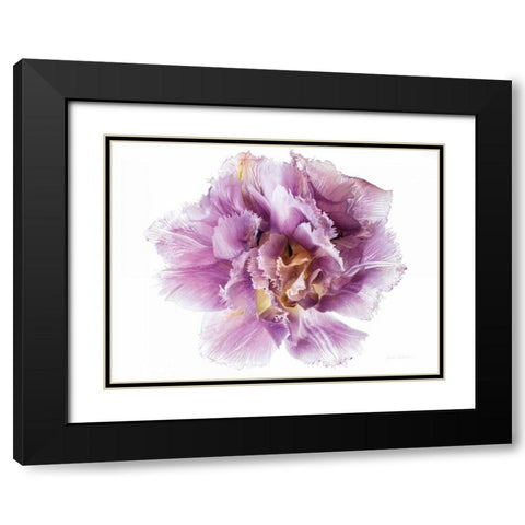 Purple Double Open Black Modern Wood Framed Art Print with Double Matting by Catterall, Elise
