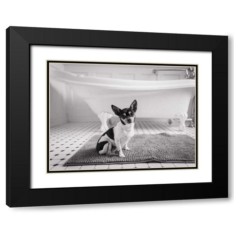 Bath Time Black Modern Wood Framed Art Print with Double Matting by Aledanda