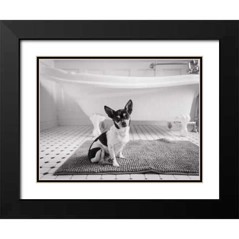 Bath Time Black Modern Wood Framed Art Print with Double Matting by Aledanda