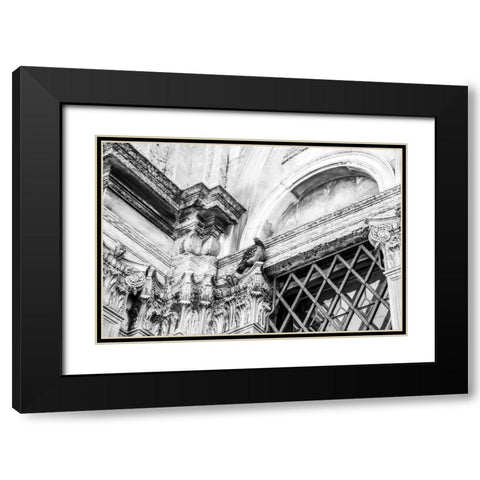 Looking Up Black Modern Wood Framed Art Print with Double Matting by Aledanda