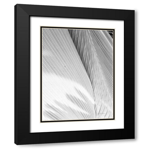 Leaf Abstract I Black Modern Wood Framed Art Print with Double Matting by Goldstein, Ed