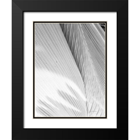 Leaf Abstract I Black Modern Wood Framed Art Print with Double Matting by Goldstein, Ed
