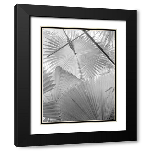 Leaf Abstract II Black Modern Wood Framed Art Print with Double Matting by Goldstein, Ed
