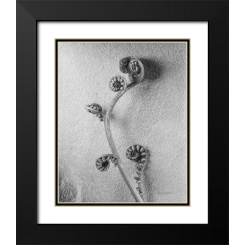 Fiddlehead I Black Modern Wood Framed Art Print with Double Matting by Goldstein, Ed