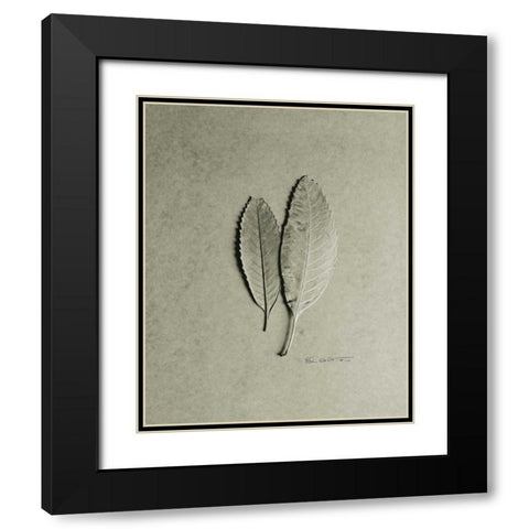 Serrated Duo Black Modern Wood Framed Art Print with Double Matting by Goldstein, Ed