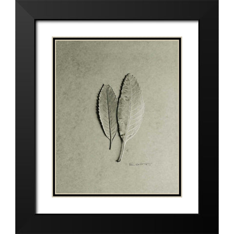 Serrated Duo Black Modern Wood Framed Art Print with Double Matting by Goldstein, Ed