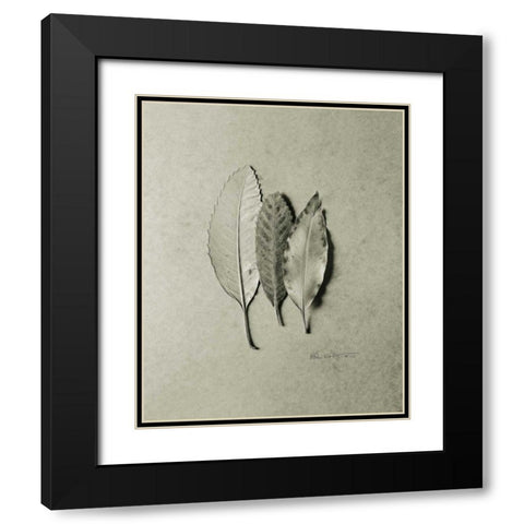 Serrated Trio Black Modern Wood Framed Art Print with Double Matting by Goldstein, Ed