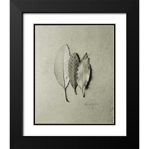 Serrated Trio Black Modern Wood Framed Art Print with Double Matting by Goldstein, Ed