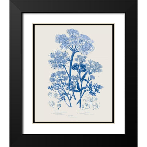 Flowering Plants VI Mid Blue Black Modern Wood Framed Art Print with Double Matting by Wild Apple Portfolio