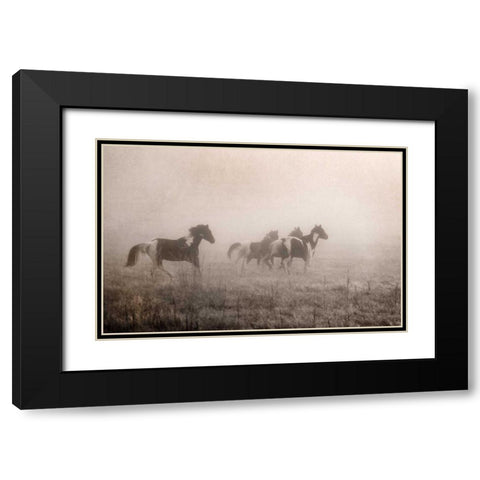 Paint Horses on the Run Black Modern Wood Framed Art Print with Double Matting by Van Swearingen, Debra