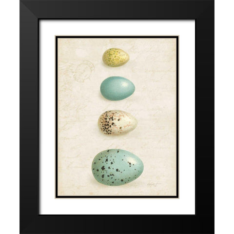 Bird Eggs II Crop Black Modern Wood Framed Art Print with Double Matting by Pertiet, Katie