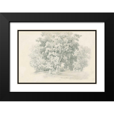 Edge of the Woods Sketch Black Modern Wood Framed Art Print with Double Matting by Wild Apple Portfolio