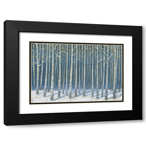 Shimmering Birches Black Modern Wood Framed Art Print with Double Matting by Wiens, James