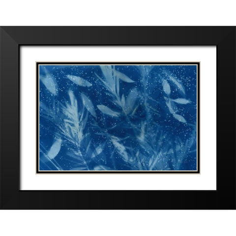 Cyanotype Tropical VII Black Modern Wood Framed Art Print with Double Matting by Green, Nancy