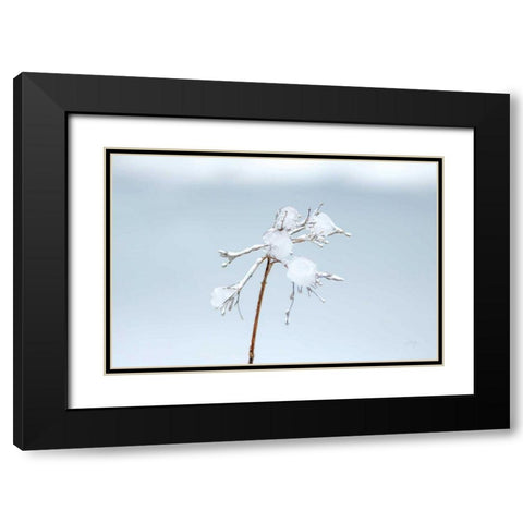 Diamonds in Winter I Black Modern Wood Framed Art Print with Double Matting by Bradley, Felicity