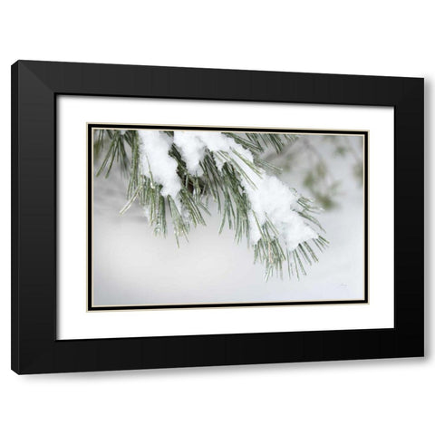Snowy Bough Black Modern Wood Framed Art Print with Double Matting by Bradley, Felicity