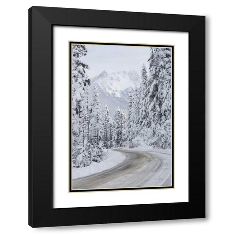 Mount Baker Highway II Black Modern Wood Framed Art Print with Double Matting by Majchrowicz, Alan
