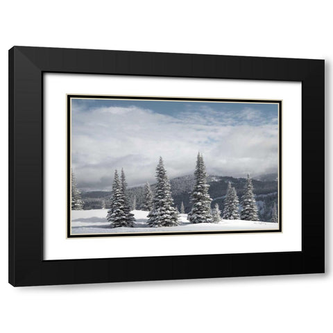 North Cascades in Winter II Black Modern Wood Framed Art Print with Double Matting by Majchrowicz, Alan
