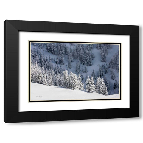 North Cascades in Winter III Black Modern Wood Framed Art Print with Double Matting by Majchrowicz, Alan
