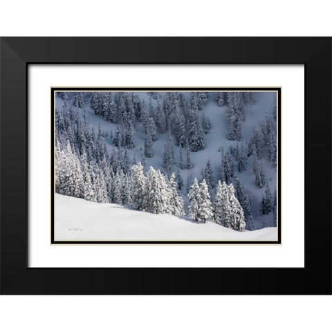 North Cascades in Winter III Black Modern Wood Framed Art Print with Double Matting by Majchrowicz, Alan