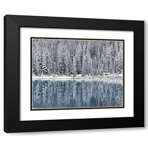 Winter Reflections Black Modern Wood Framed Art Print with Double Matting by Majchrowicz, Alan