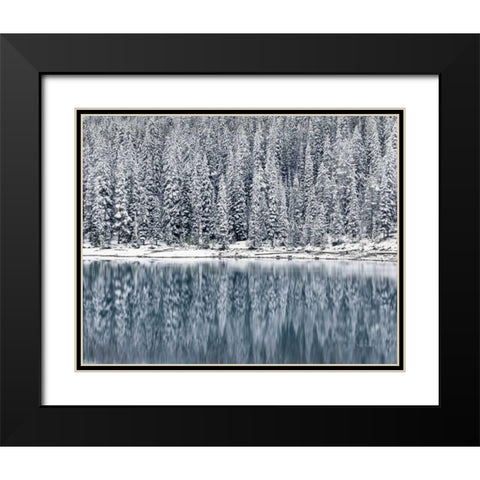 Winter Reflections Black Modern Wood Framed Art Print with Double Matting by Majchrowicz, Alan