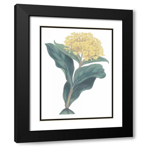 Harlequin Floral Cool Black Modern Wood Framed Art Print with Double Matting by Wild Apple Portfolio