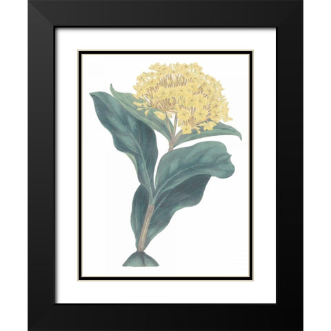 Harlequin Floral Cool Black Modern Wood Framed Art Print with Double Matting by Wild Apple Portfolio