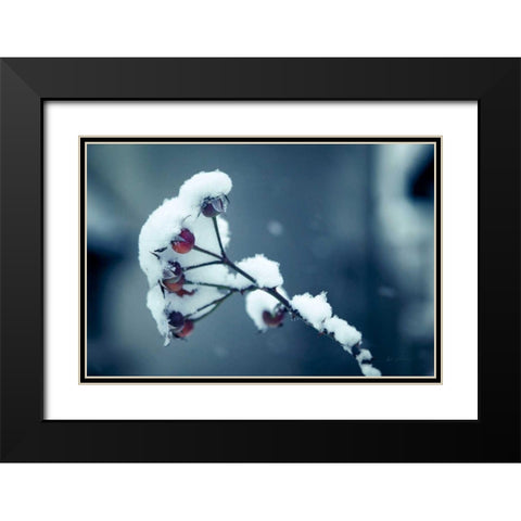 Light and Fluffy Black Modern Wood Framed Art Print with Double Matting by Eichman, Andre