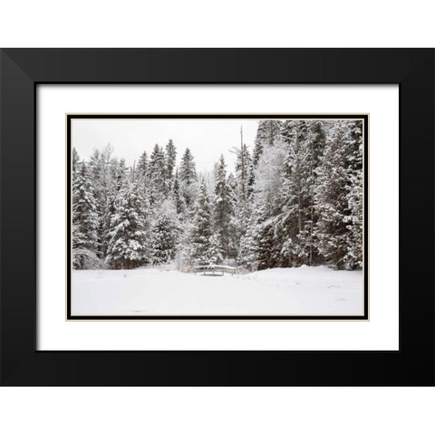 Over the Bridge Black Modern Wood Framed Art Print with Double Matting by Aledanda