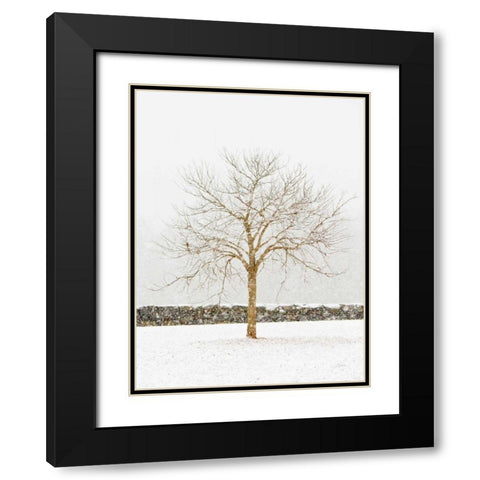By the Stone Wall Black Modern Wood Framed Art Print with Double Matting by Aledanda