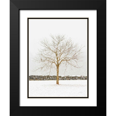 By the Stone Wall Black Modern Wood Framed Art Print with Double Matting by Aledanda