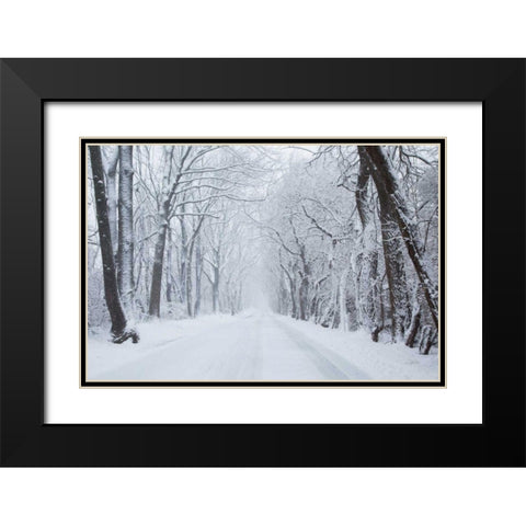 Going Home Black Modern Wood Framed Art Print with Double Matting by Aledanda