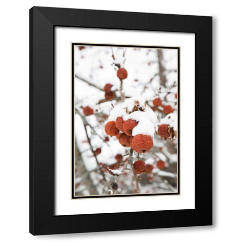 Snowcapped Black Modern Wood Framed Art Print with Double Matting by Aledanda