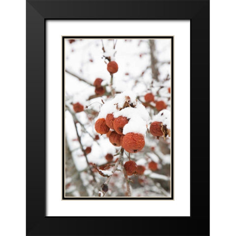 Snowcapped Black Modern Wood Framed Art Print with Double Matting by Aledanda
