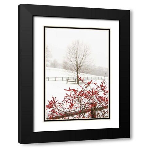 Red on White Black Modern Wood Framed Art Print with Double Matting by Aledanda