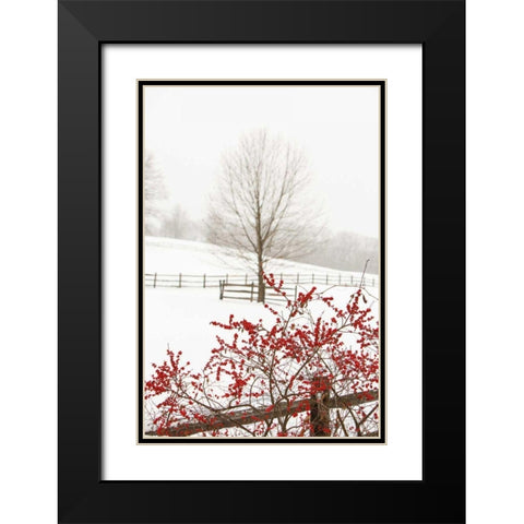 Red on White Black Modern Wood Framed Art Print with Double Matting by Aledanda