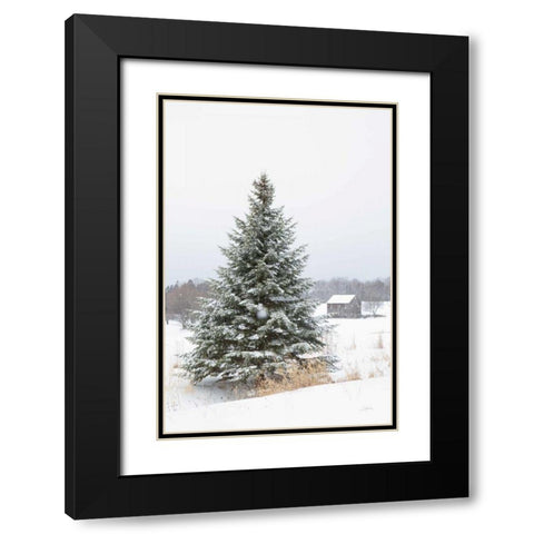 Perfect Pine Tree Black Modern Wood Framed Art Print with Double Matting by Aledanda