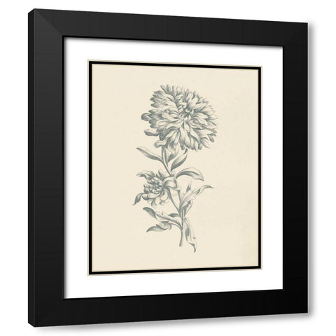 Eden Floral I Black Modern Wood Framed Art Print with Double Matting by Wild Apple Portfolio