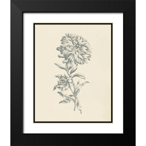 Eden Floral I Black Modern Wood Framed Art Print with Double Matting by Wild Apple Portfolio
