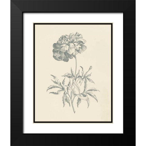 Eden Floral II Black Modern Wood Framed Art Print with Double Matting by Wild Apple Portfolio