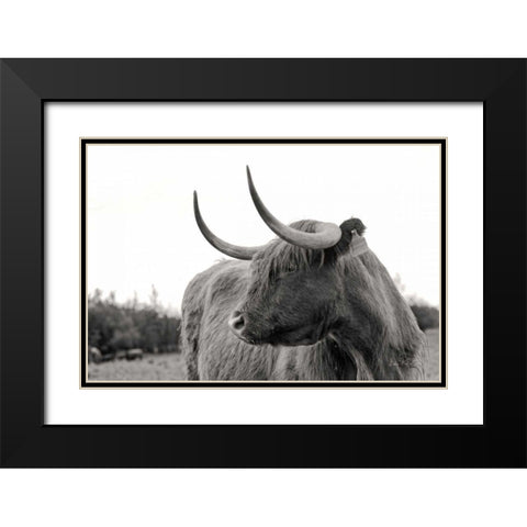 On the Ranch I Black Modern Wood Framed Art Print with Double Matting by Eichman, Andre