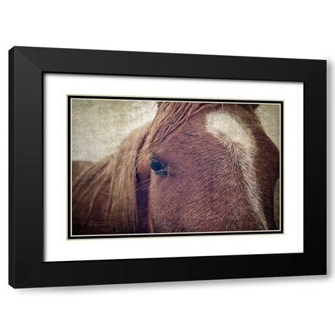 Dew Lashes Black Modern Wood Framed Art Print with Double Matting by Van Swearingen, Debra