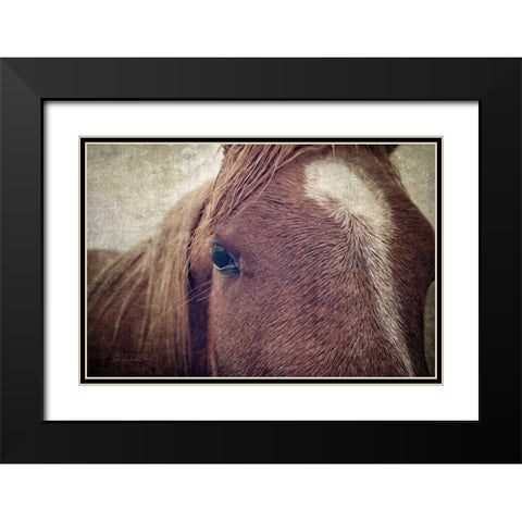Dew Lashes Black Modern Wood Framed Art Print with Double Matting by Van Swearingen, Debra